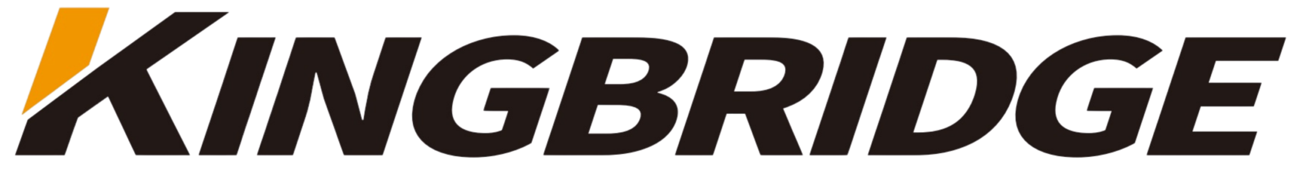 04_Logo_Double Coin Group (Chongqing) Tyre Co., Ltd